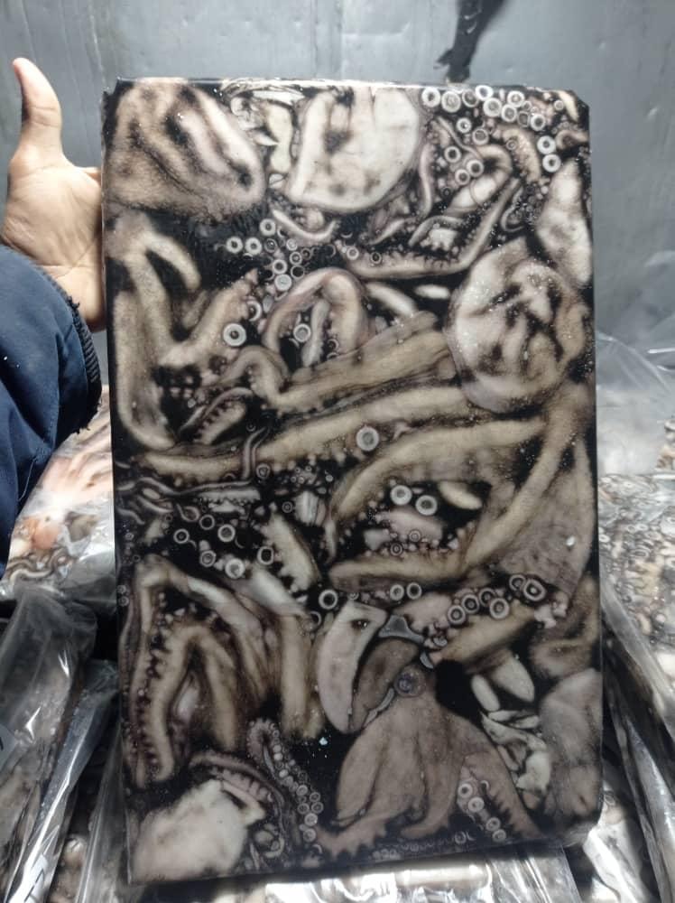Pulpo Caribeño