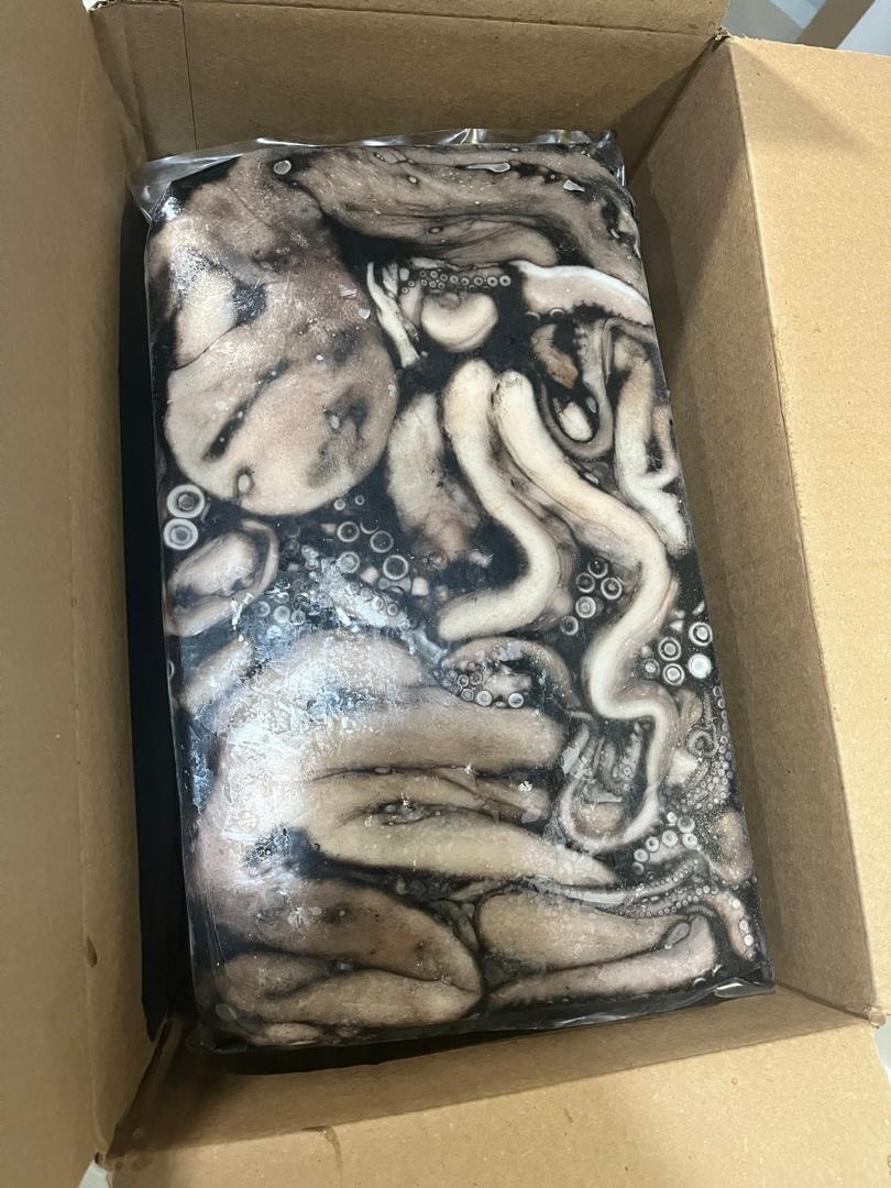 Pulpo Caribeño — detalle